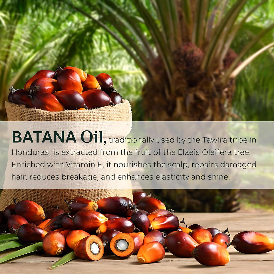 Batana Oil for Hair Growth Dr. Sebi Organic Pure fromHonduras with Keratin,Enhance Efficacy for HaircareMoisturizer Daily Natural Stronger Lightweight Intensive Repair Comfort