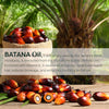 Batana Oil for Hair Growth Dr. Sebi Organic Pure fromHonduras with Keratin,Enhance Efficacy for HaircareMoisturizer Daily Natural Stronger Lightweight Intensive Repair Comfort